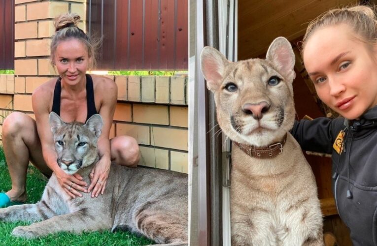 VIDEO VIRAL: Influencer adopta puma como mascota y es criticada en redes