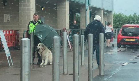 Guardia de seguridad conmueve las redes tras proteger a un perro de la lluvia