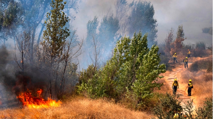 Pareja causa incendio en California al revelar género de su bebé