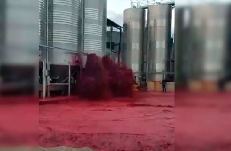 Viral: Fuga en fábrica deja derrame de 50 mil litros de vino; día negro para el alcohol