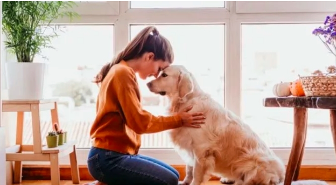 TU MASCOTA BENEFICIA TU SALUD