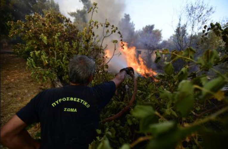 Arden zonas forestales en Grecia; salvan del fuego a la antigua Olimpia