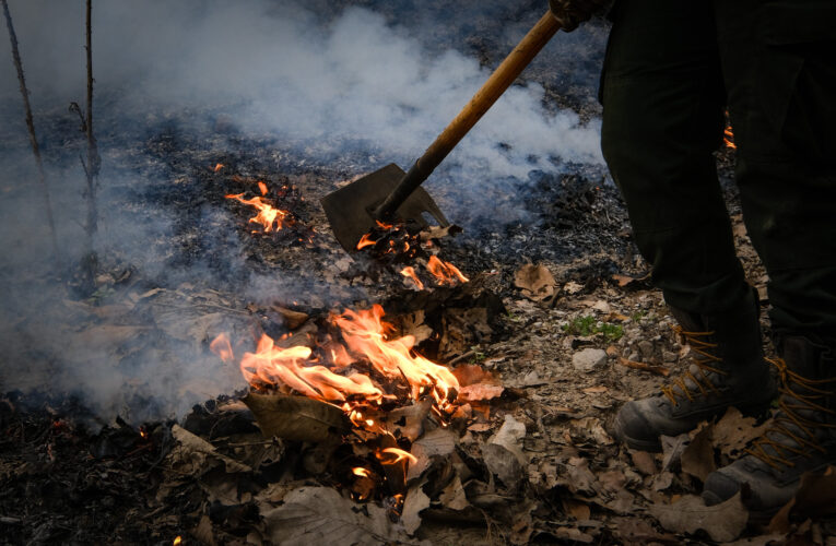 COMBATIENTES FORESTALES DE LA SEMADET PARTICIPAN EN INTERCAMBIO INTERNACIONAL