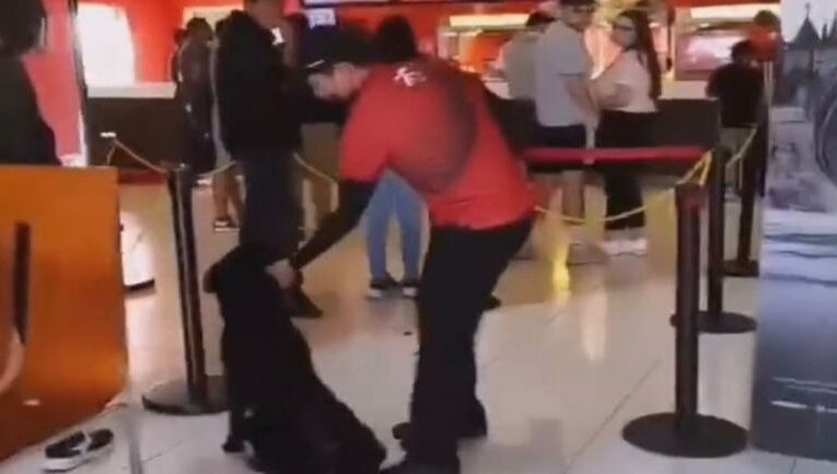 Empleado de Cinemex causa indignación por maltratar a un perro