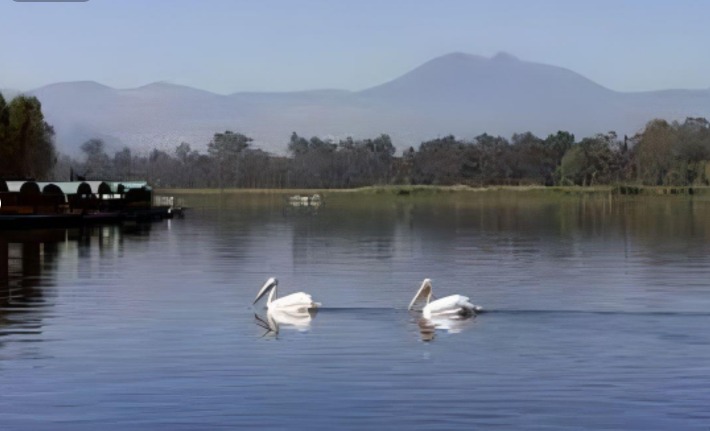 Es reconocida la Ciudad de México a nivel nacional e internacional por mejoras ambientales