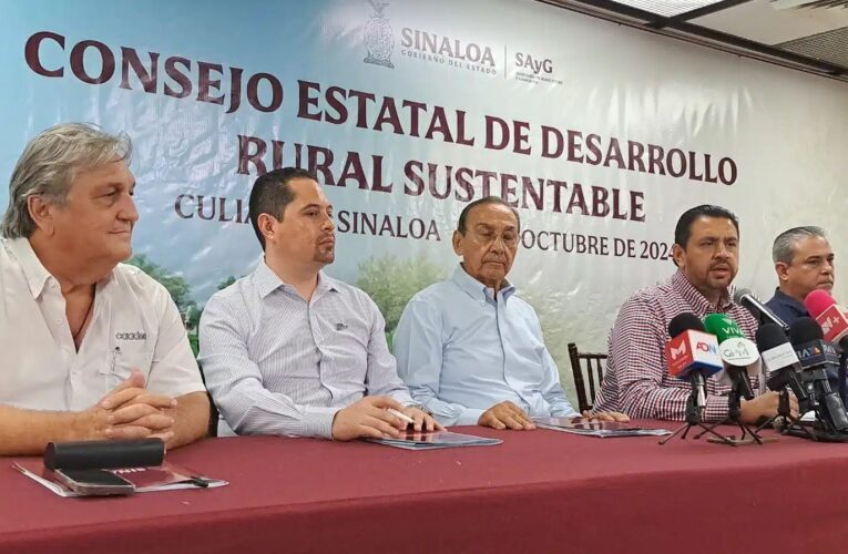 Acuerdan establecer casi 500 mil hectáreas de maíz en Sinaloa a pesar de reserva de agua