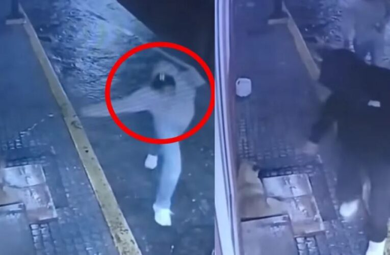 Redes sociales buscan a hombre que aventó una botella de cerveza a perrito acostado