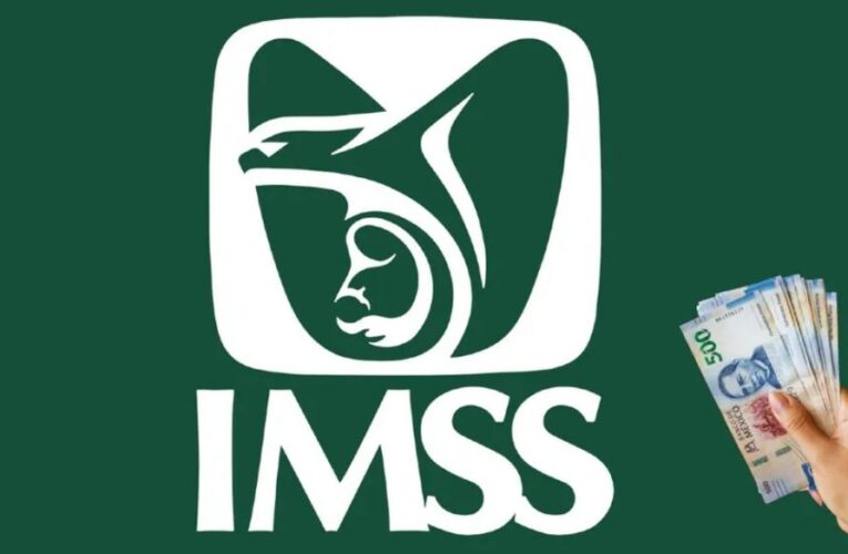 Puestos de trabajo afiliados al IMSS disminuyen 0.2% en junio