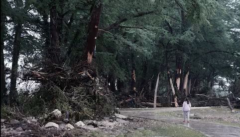Cifra de muertos crece a 52 por inundaciones en Texas; continúa la búsqueda de 27 niñas