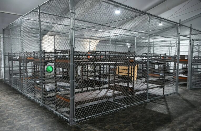 Sheinbaum confirma que hay 14 mexicanos en “Alligator Alcatraz”