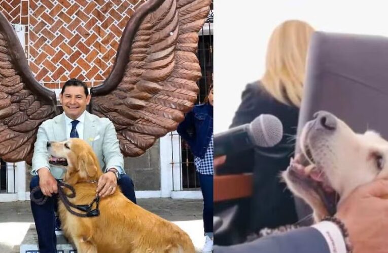 Perro del gobernador de Puebla tiene cargo oficial, programa de TV y «habla» en conferencias