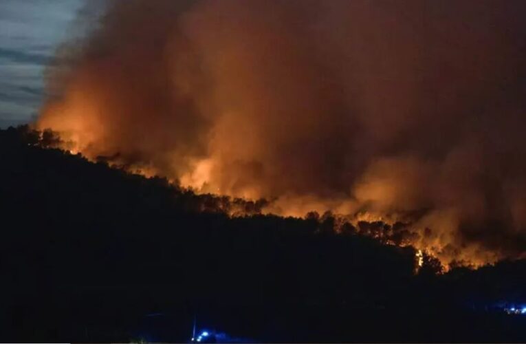 Incendio sin control en Francia arrasa con 8000 hectáreas