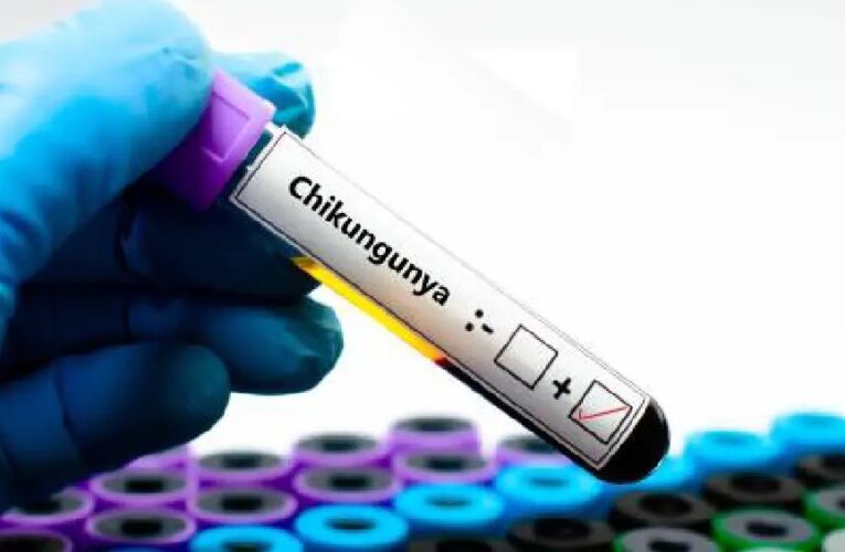 Reportan 7 mil casos de chikungunya en China