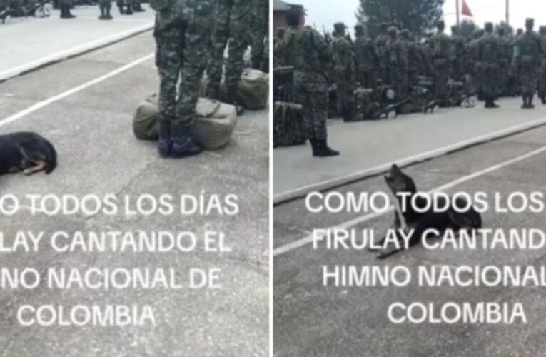 Perrito criollo se hace viral por “cantar” el Himno Nacional junto a militares en formación: “Más afinado que los soldados”