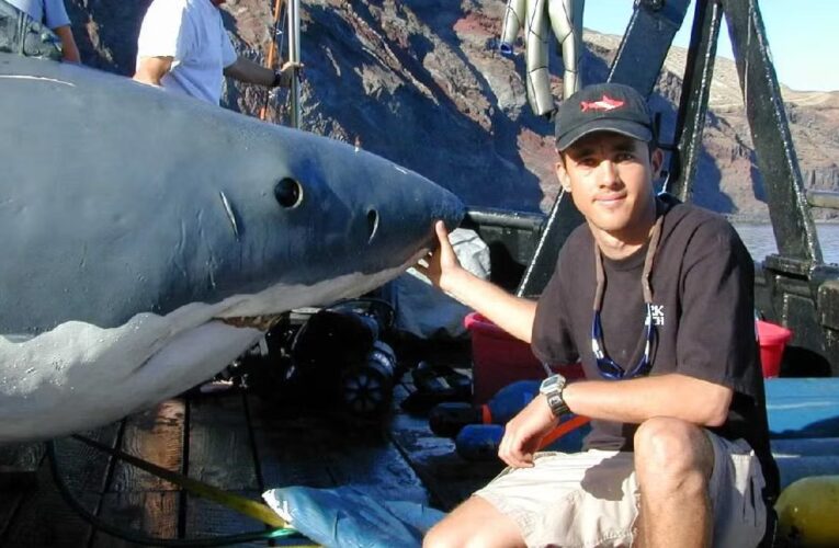 Tiburón ataca a biólogo mexicano Mauricio Hoyos; le mordió la cabeza y es reportado grave