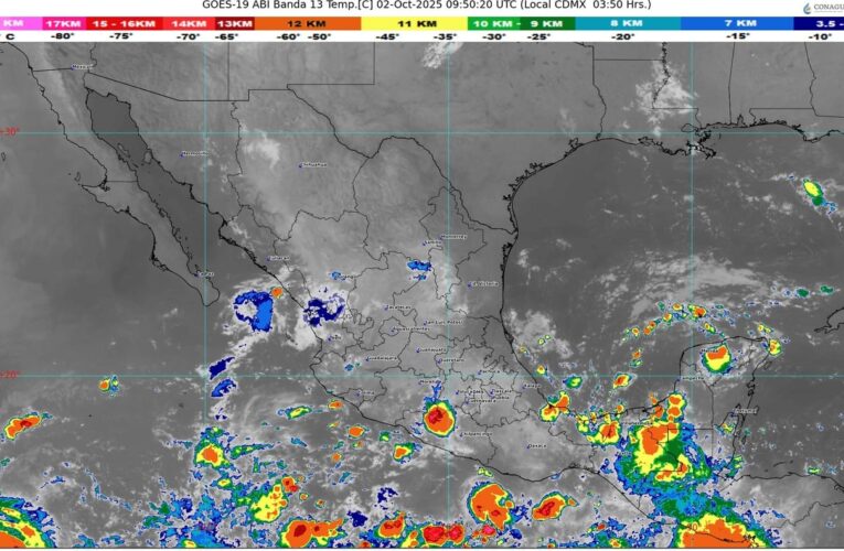 Borrador automático