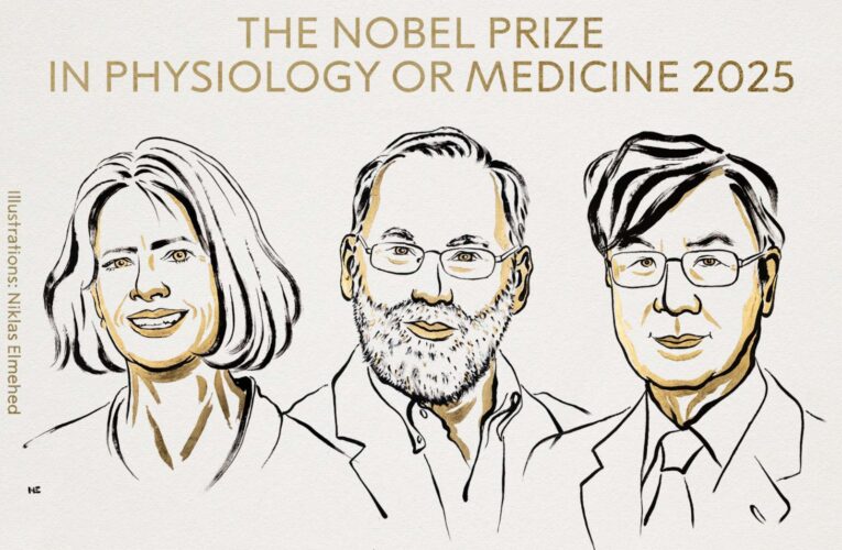 Dan Premio Nobel de Medicina 2025 a tres científicos por su trabajo sobre la tolerancia inmunológica periférica