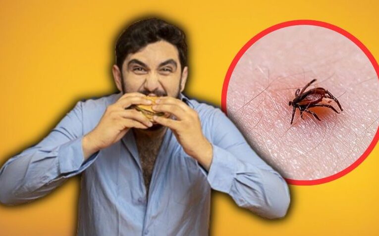 Hombre pierde la vida por comer una hamburguesa; una garrapata fue la responsable