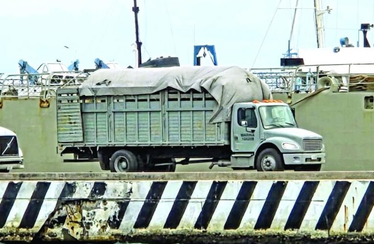 Enfilan ayuda humanitaria a Cuba desde México