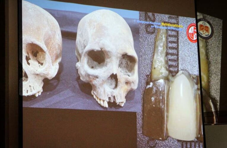 Crisis forense exhibe abandono oficial