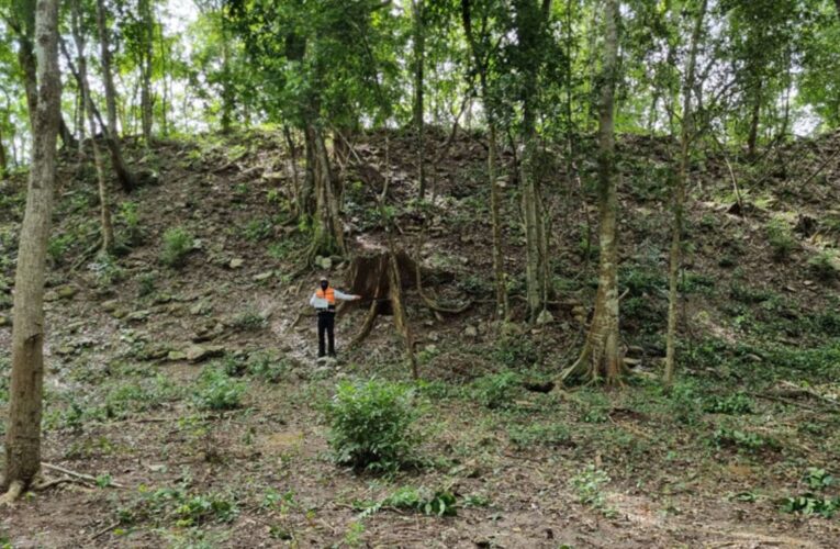 Pobladores revelan sitio maya El Jefeciño en Quintana Roo