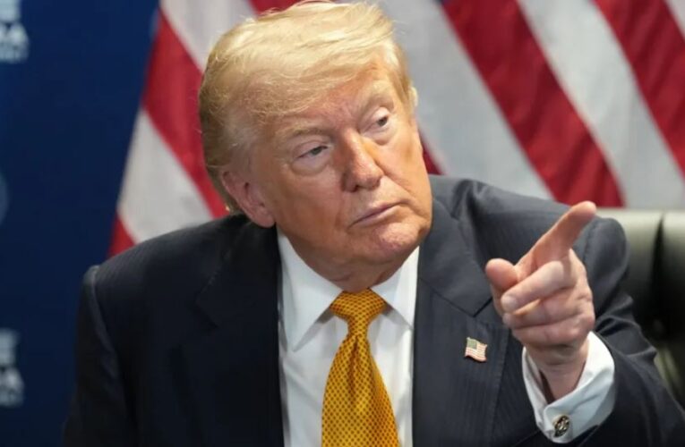 Donald Trump elogia el «trabajo excelente» del ICE y rechaza la suspensión de controles de tráfico